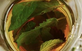 Herbal teas to increase a child&#39;s appetite