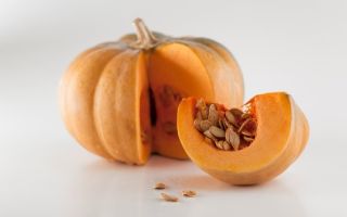 Pumpkin - benefits and harms, nutrients, diseases, methods of use, delicious recipe