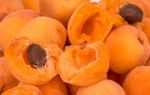 В чем польза и вред абрикоса для кишечника?