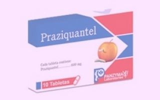 Praziquantel (biltricide) – regimen of use, indications, contraindications