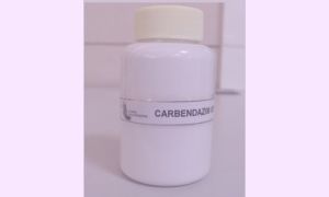 Карбендацим (медамин): форма выпуска, схема применения, противопоказания