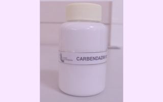 Карбендацим (медамин): форма выпуска, схема применения, противопоказания