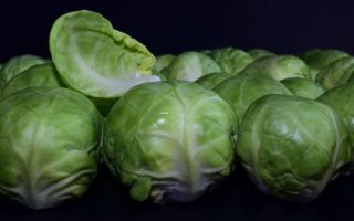 What are the benefits and harms of cabbage for health?