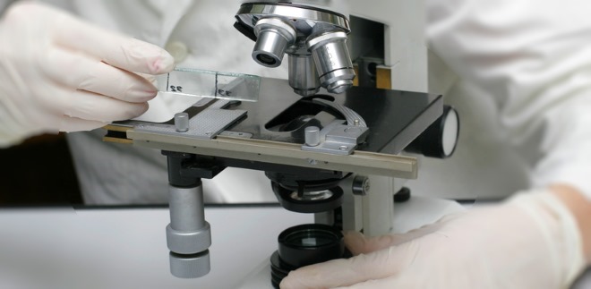 Laboratory analysis of stool